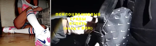 хмурый Алзамай
