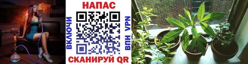 нарко площадка как зайти где можно купить наркотик Нюрба Каннабис OG Kush кракен зеркало